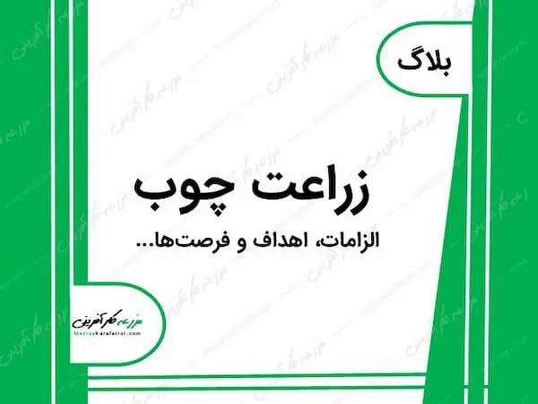 زراعت چوب، اهداف و فرصتها