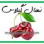 خرید نهال گیلاس