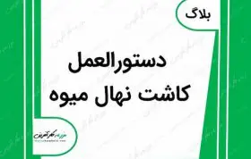 دستورالعمل کاشت نهال میوه