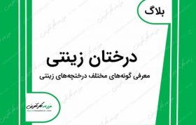 معرفی درختان زینتی و فضای سبز