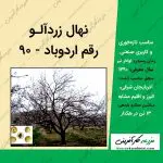 نهال زردآلو رقم اردوباد 90