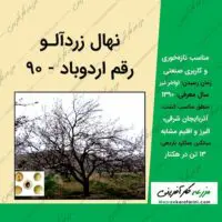 نهال زردآلو رقم اردوباد 90