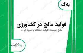 فواید استفاده از مالچ در کشاورزی