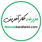 نهالستان پسته کرمان - رفسنجان