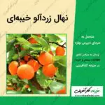 نهال درخت زردآلو خیبه ای متحمل به سرمای بهاره