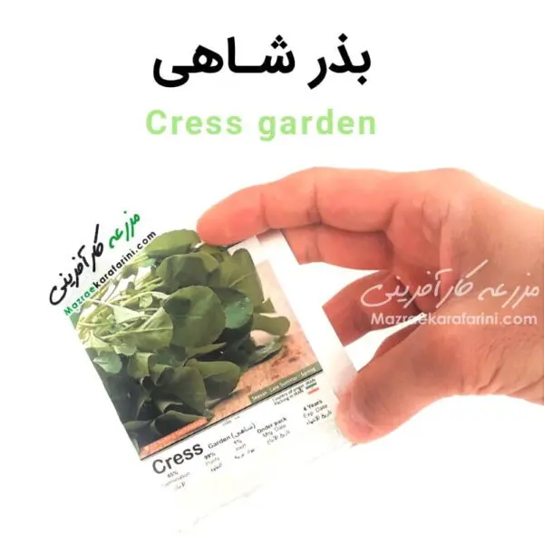 پاکت بذر شاهی Cress garden