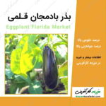 بذر بادمجان قلمی Eggplant Florida Market