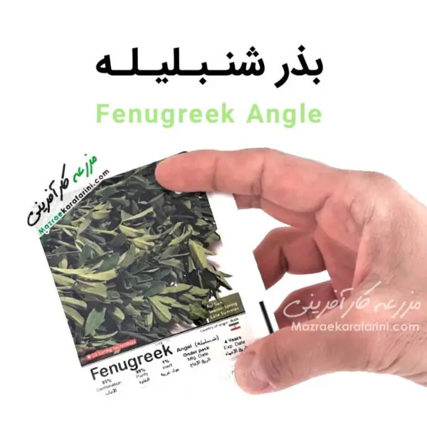 پاکت بسته بندی بذر شنبلیله fenugreek angle