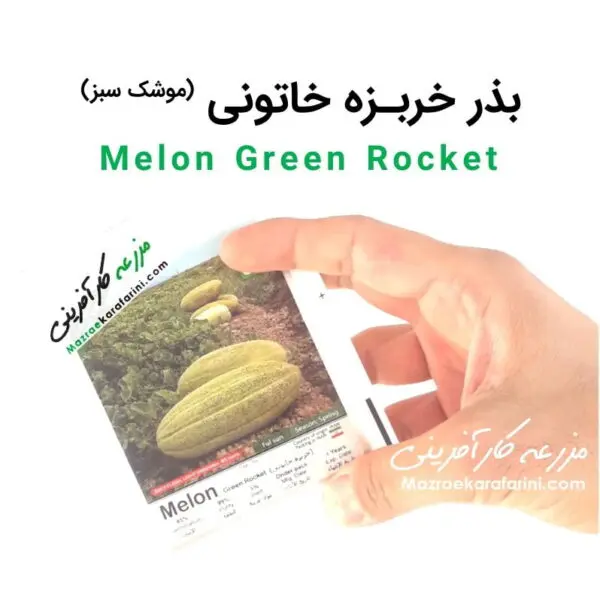 پاکت بذر بذر خربزه خاتونی Melon Green Rocket به معنی خربزه موشک سبز