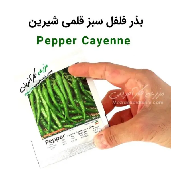 پاکت بسته بندی بذر فلفل سبز قلمی شیرین Pepper cayenne