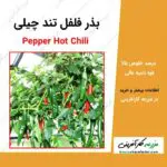 بذر فلفل تند چیلی Pepper hot chili