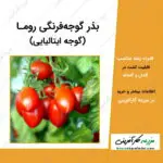 بذر گوجه فرنگی روما Roma Tomatoes مشهور به گوجه ایتالیایی