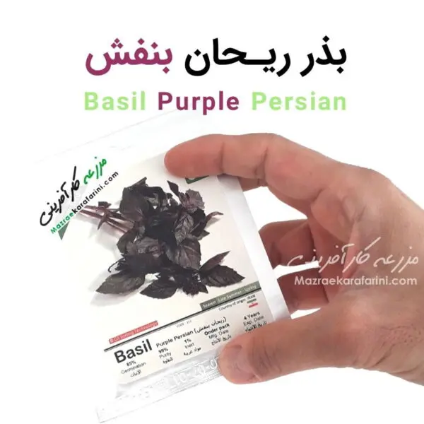 پاکت بسته بندی بذر ریحان بنفش basil purple Persian