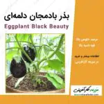 بذر بادمجان دلمه ای Eggplant Black Beauty