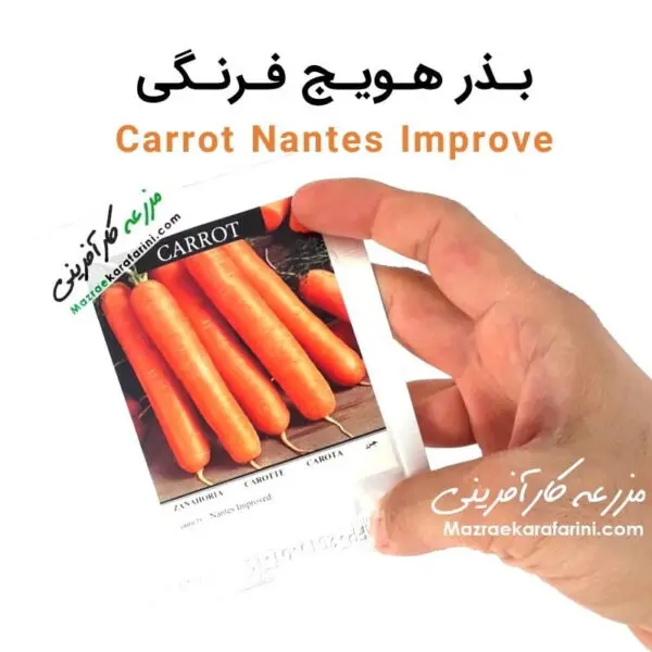 پاکت بسته بندی بذر هویج فرنگی Carrot Nantes Improve