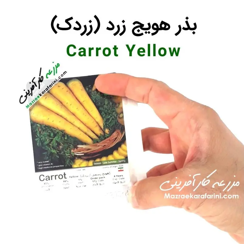 پاکت بسته بندی بذر هویج زرد یا زردک carrot yellow