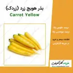 بذر هویج زرد یا زردک carrot yellow