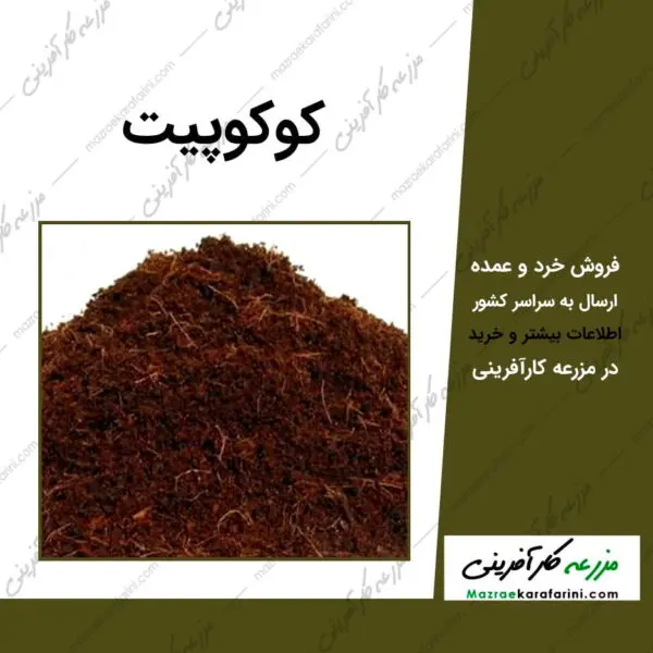 بستر کشت کوکوپیت coco peat