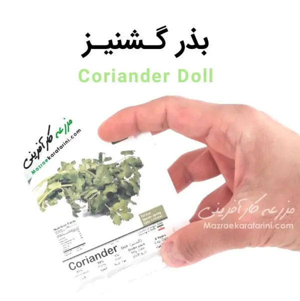 پاکت بسته بندی بذر گشنیز Coriander Doll