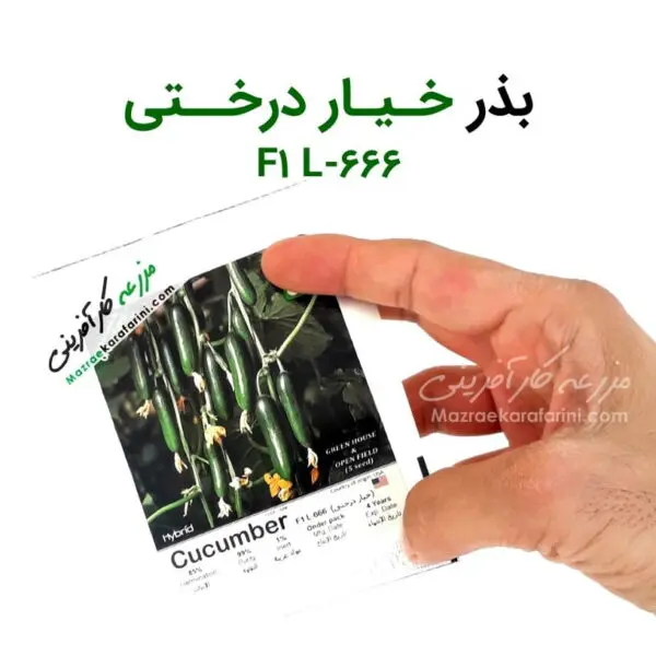 پاکت بذر خیار درختی F1 L-666