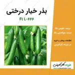 بذر خیار درختی F1 L-666