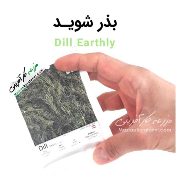 پاکت بذر شوید Dill Earthly