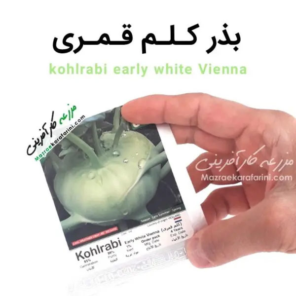 پاکت بسته بندی بذر کلم قمری kohlrabi early white Vienna