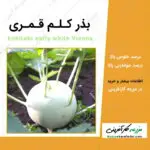 بذر کلم قمری kohlrabi early white Vienna