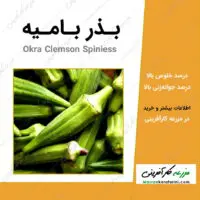 بذر بامیه با نام لاتین Okra Clemson Spiniess