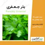 بذر جعفری Parsley Oriental