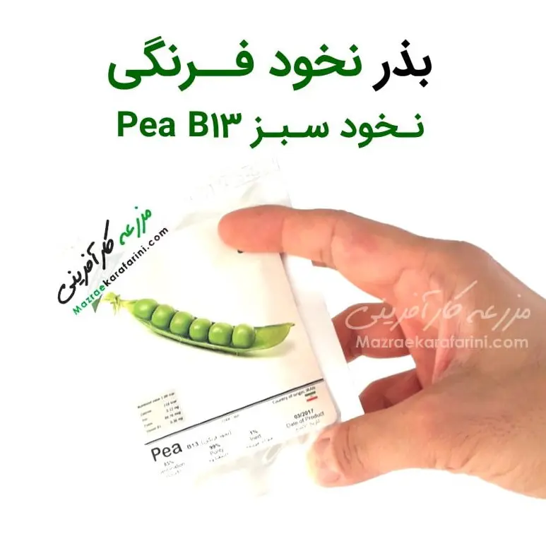 پاکت بذر نخود فرنگی یا نخود سبز Pea B13