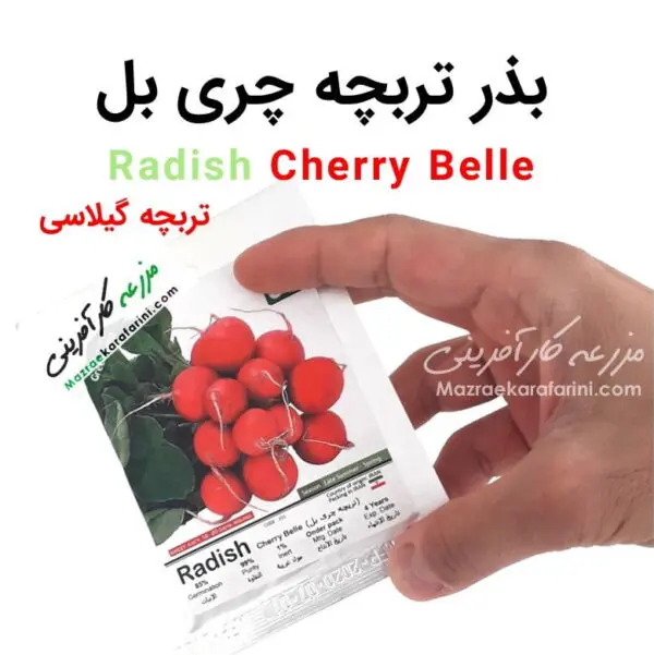 پاکت بسته بندی بذر تربچه چری بل Radish Cherry Belle یا تربچه قرمز گیلاسی