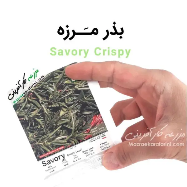 پاکت بسته بندی بذر مرزه Savory Crispy