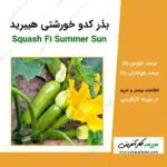 بذر کدو خورشتی هیبرید Squash F1 Summer Sun