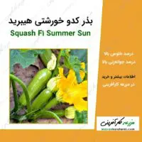 بذر کدو خورشتی هیبرید Squash F1 Summer Sun