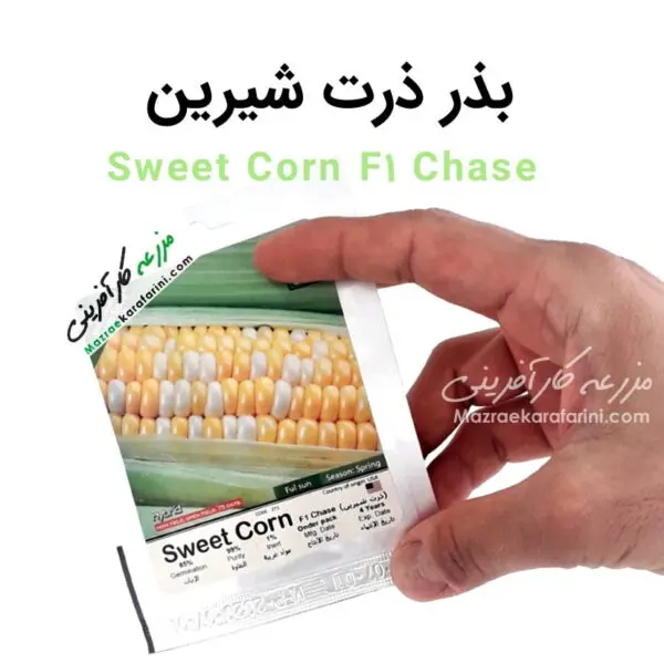 پاکت بسته بندی بذر ذرت شیرین sweet corn F1 chase