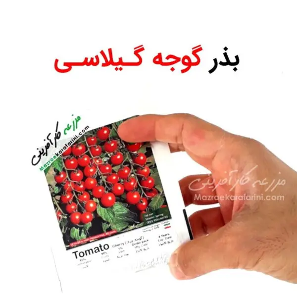 پاکت بذر گوجه گیلاسی یا گوجه چری مزرعه کارآفرینی