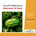 بذر هندوانه کشیده Watermelon All Sweet