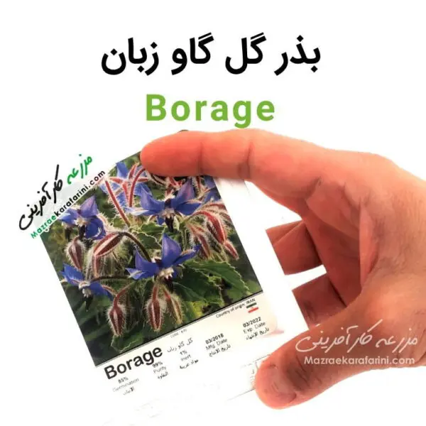 پاکت بذر گل گاو زبان Borage packed seeds