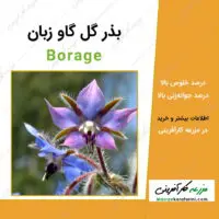 بذر گل گاو زبان Borage seeds