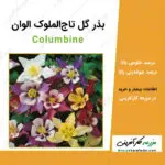 بذر گل تاج الملوک الوان Columbine seeds