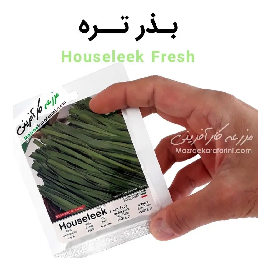 پاکت بسته بندی بذر سبزی تره Houseleek Fresh