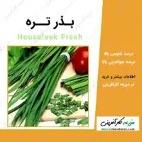 بذر سبزی تره Houseleek Fresh