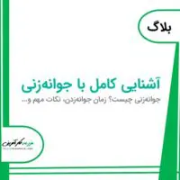 آشنایی کامل با جوانه زنی, جوانه‌زنی چیست؟ زمان جوانه زدن در گیاهان