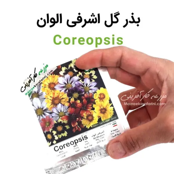 پاکت بذر بذر گل اشرفی الوان Coreopsis