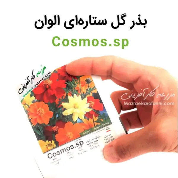 پاکت بذر گل ستاره ای الوان Cosmos.sp