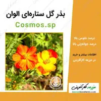 بذر گل ستاره ای الوان Cosmos.sp