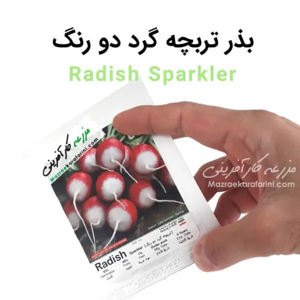 پاکت بذر ترپچه گرد دو رنگ Radish Sparkler