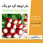 بذر ترپچه گرد دو رنگ Radish Sparkler