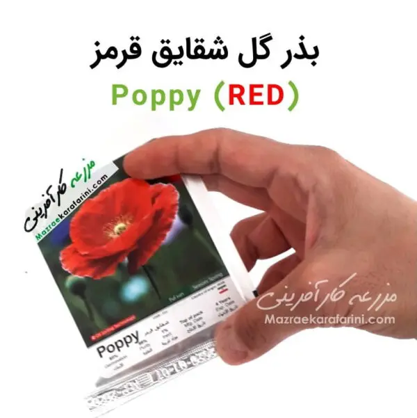 پاکت بذر گل شقایق قرمز red Poppy packed seeds